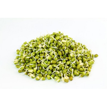 Moong Dal Sprouts 1Pkt